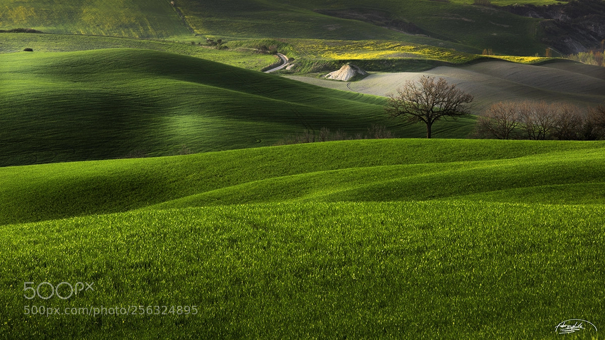 Nikon D810 sample photo. Smooth hills photography