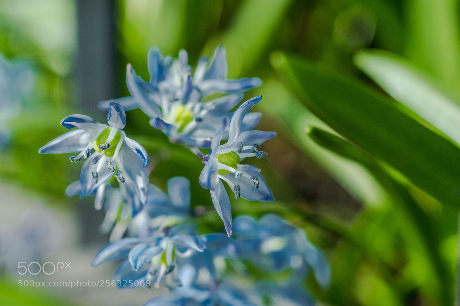 Fujifilm X-T20 sample photo. Mayexports photography