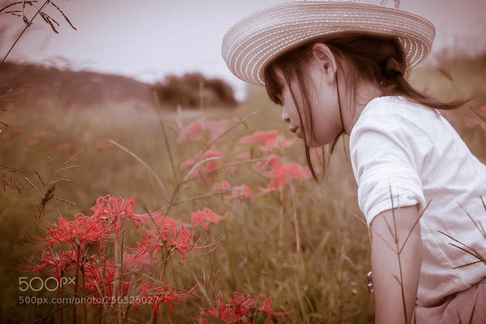 Pentax K-1 sample photo. Untitled photography