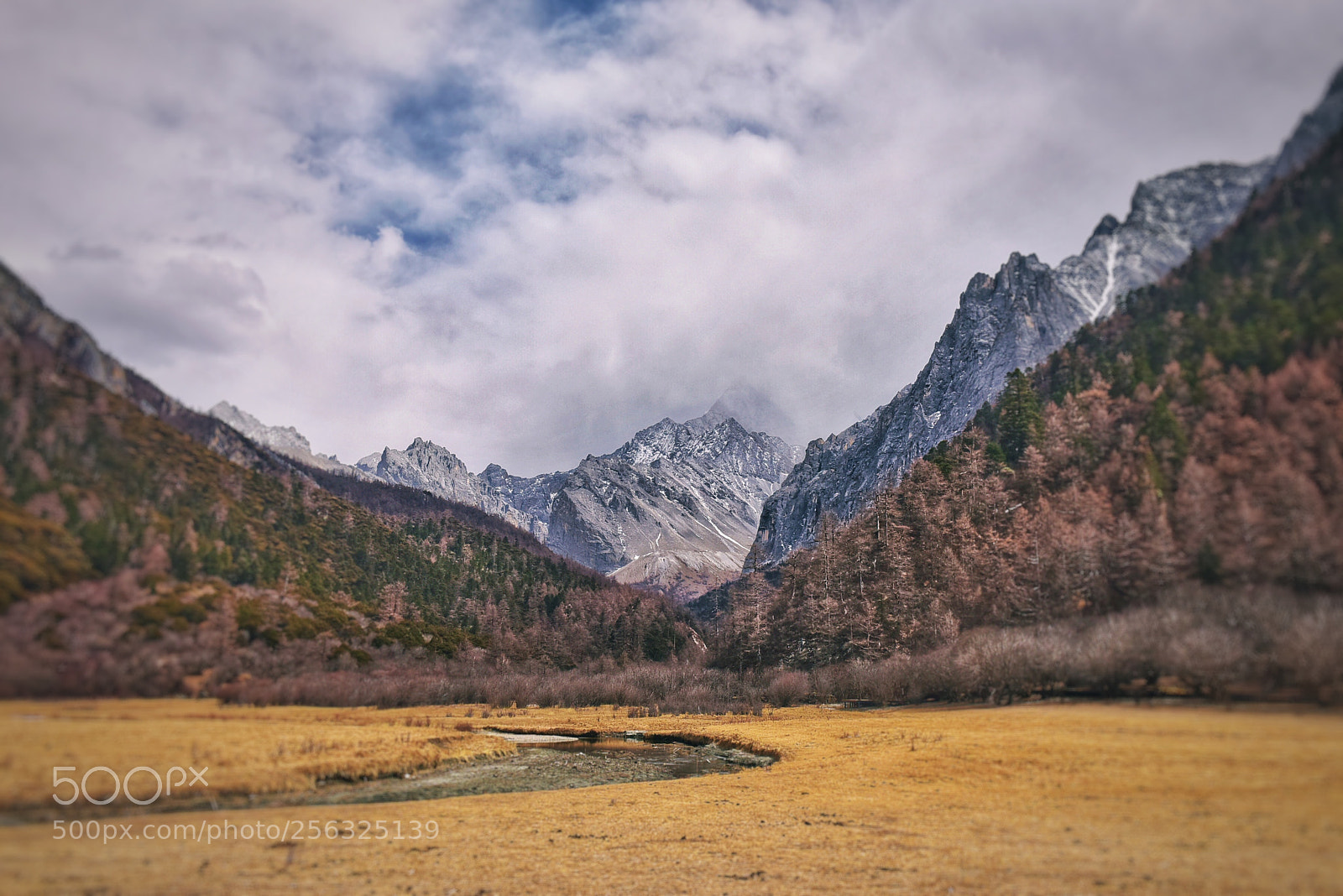 Nikon D810 sample photo. Xianuoduoji mountain photography