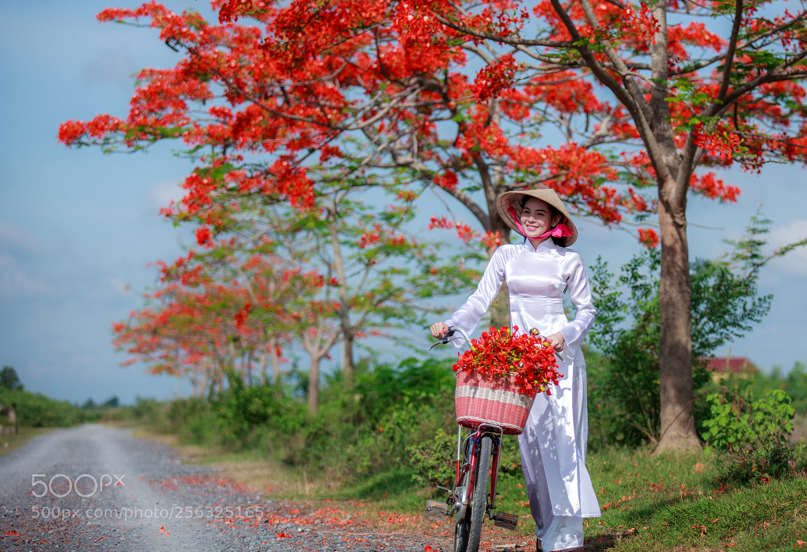 Canon EOS 5D Mark II sample photo. Untitled photography
