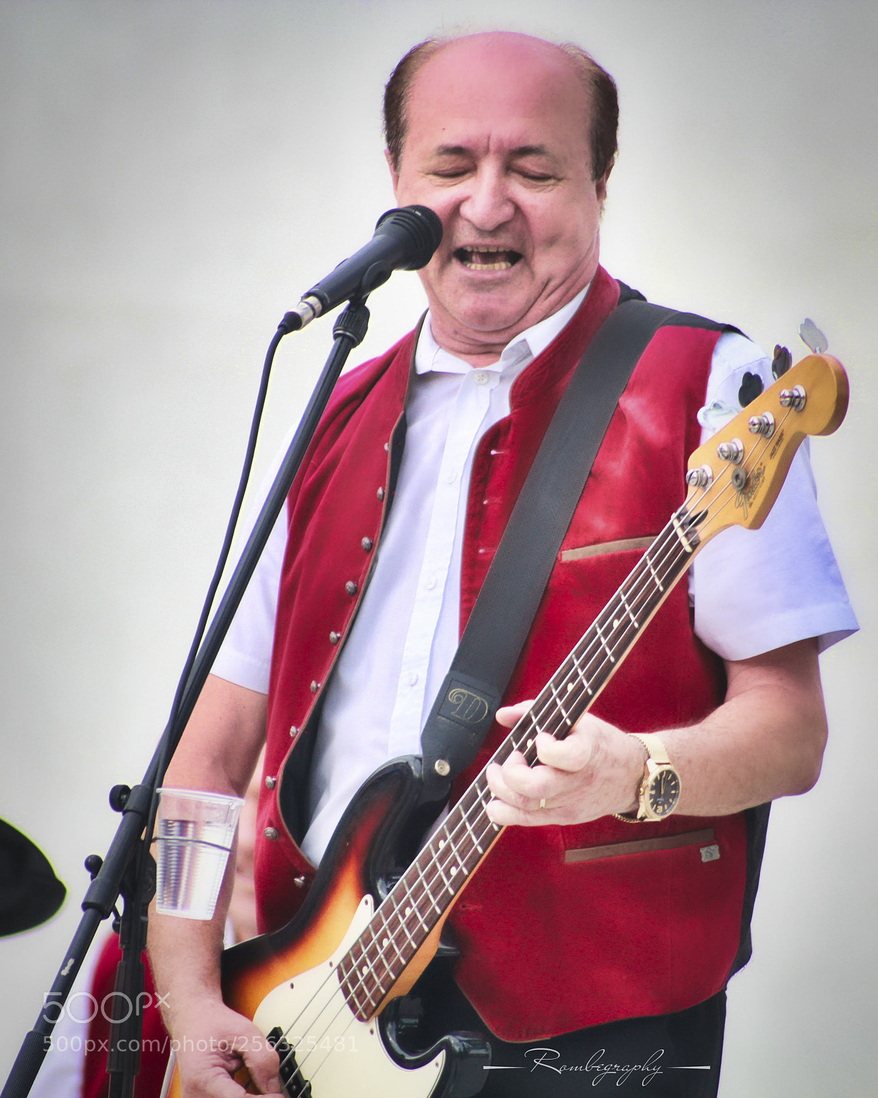 Canon EOS 600D (Rebel EOS T3i / EOS Kiss X5) sample photo. Bass player photography