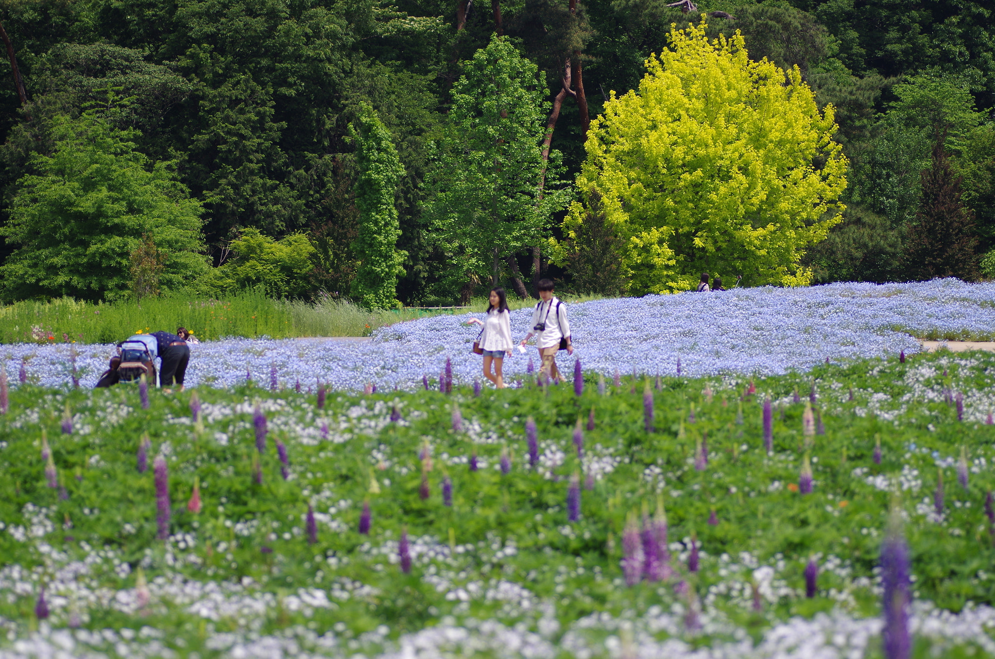 Pentax K-30 + Tamron SP AF 90mm F2.8 Di Macro sample photo. Initiative photography