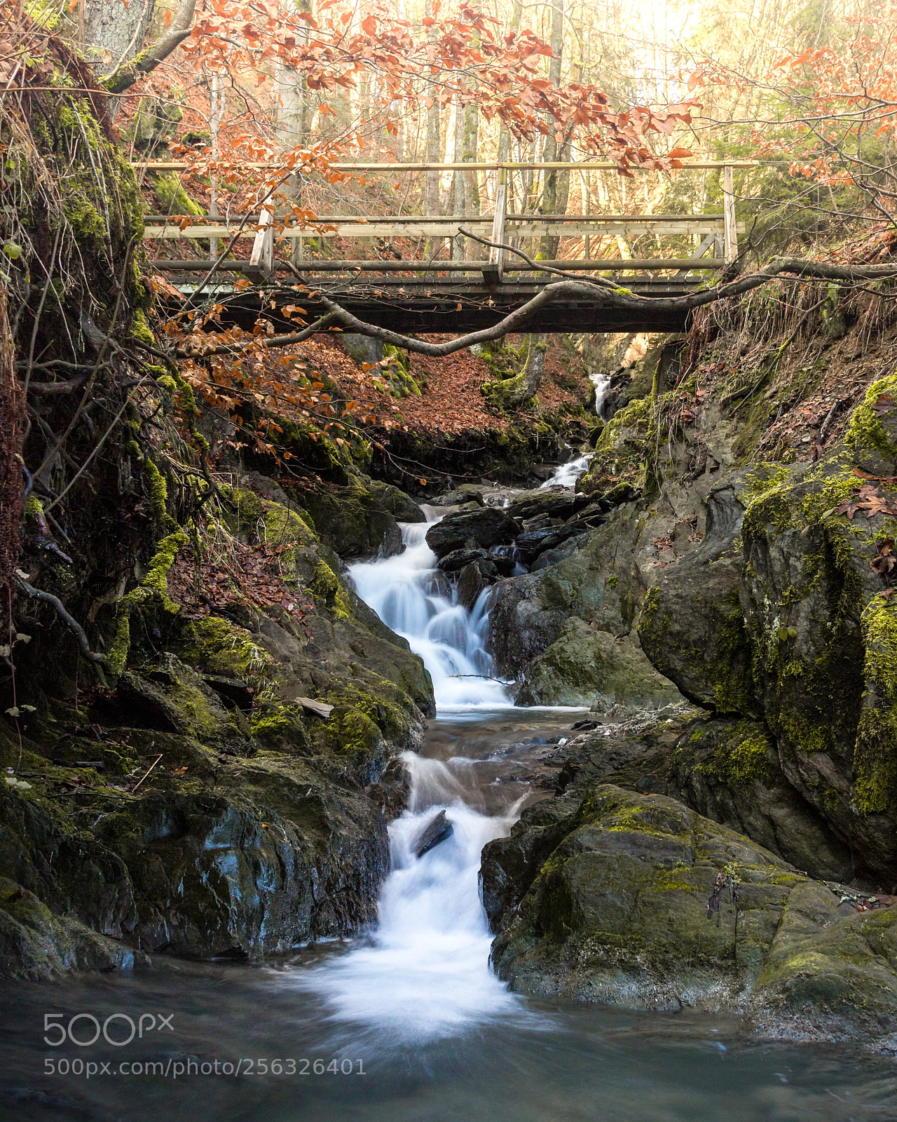 Canon EOS 700D (EOS Rebel T5i / EOS Kiss X7i) sample photo. Enchanted valley photography