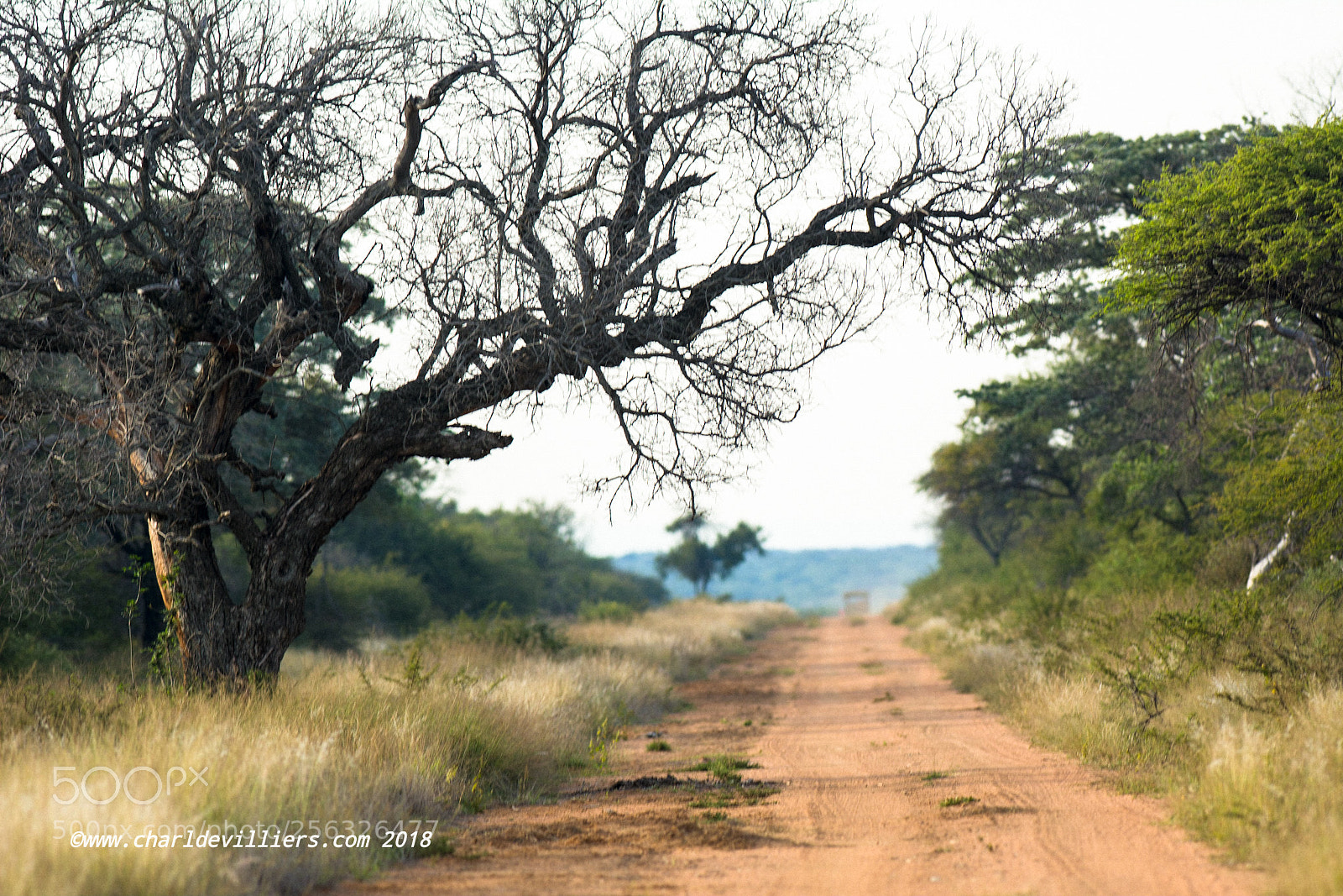 Nikon D7100 sample photo. "african highway" photography