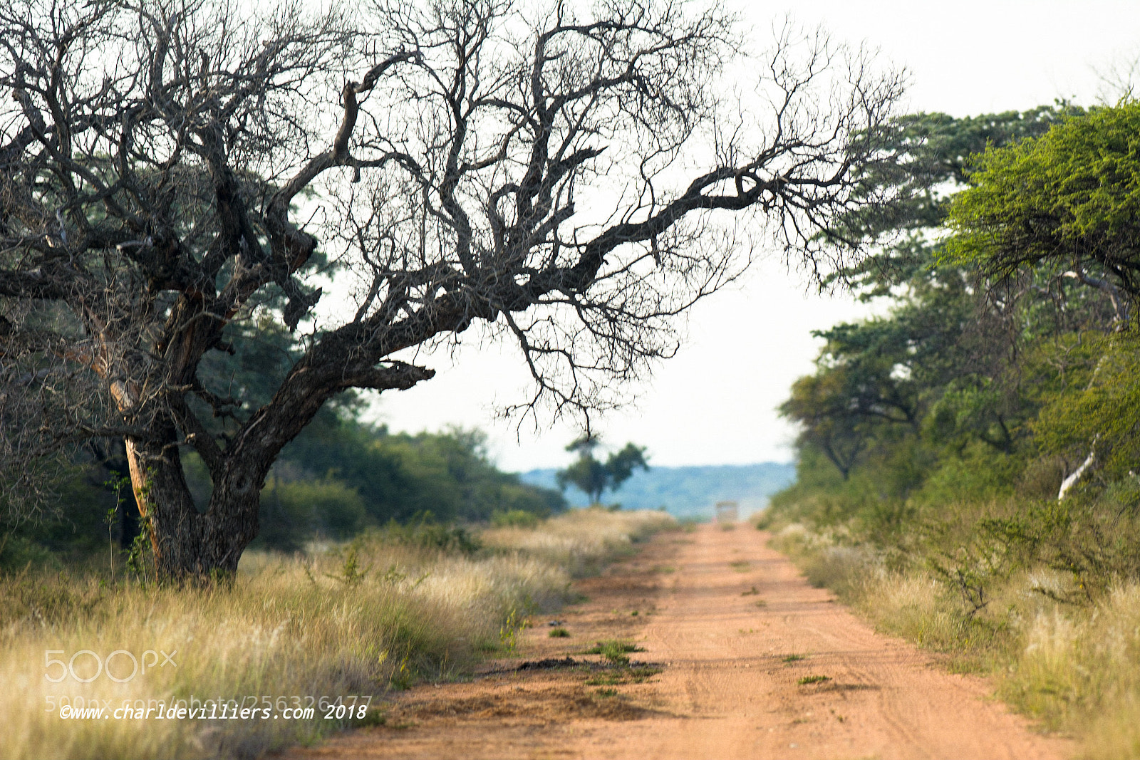 Nikon D7100 sample photo. "african highway" photography