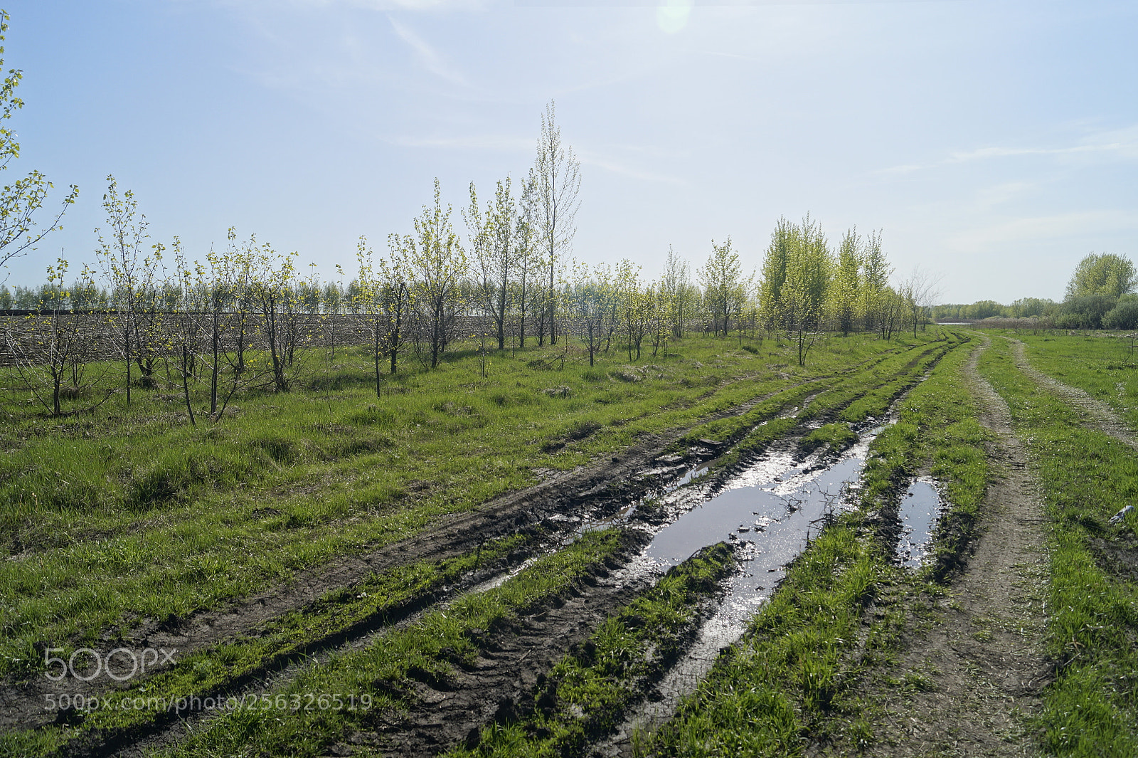 Sony SLT-A58 sample photo. Line photography