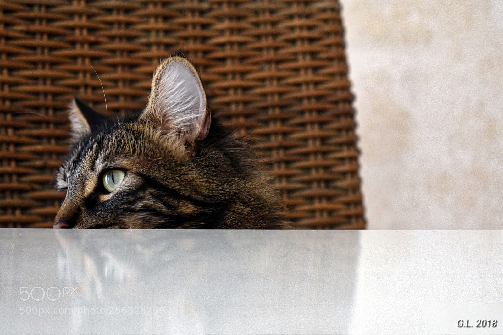 Nikon D3400 sample photo. Untitled photography