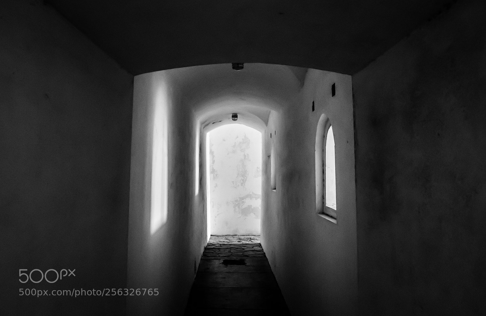 Fujifilm X-T10 sample photo. Untitled photography