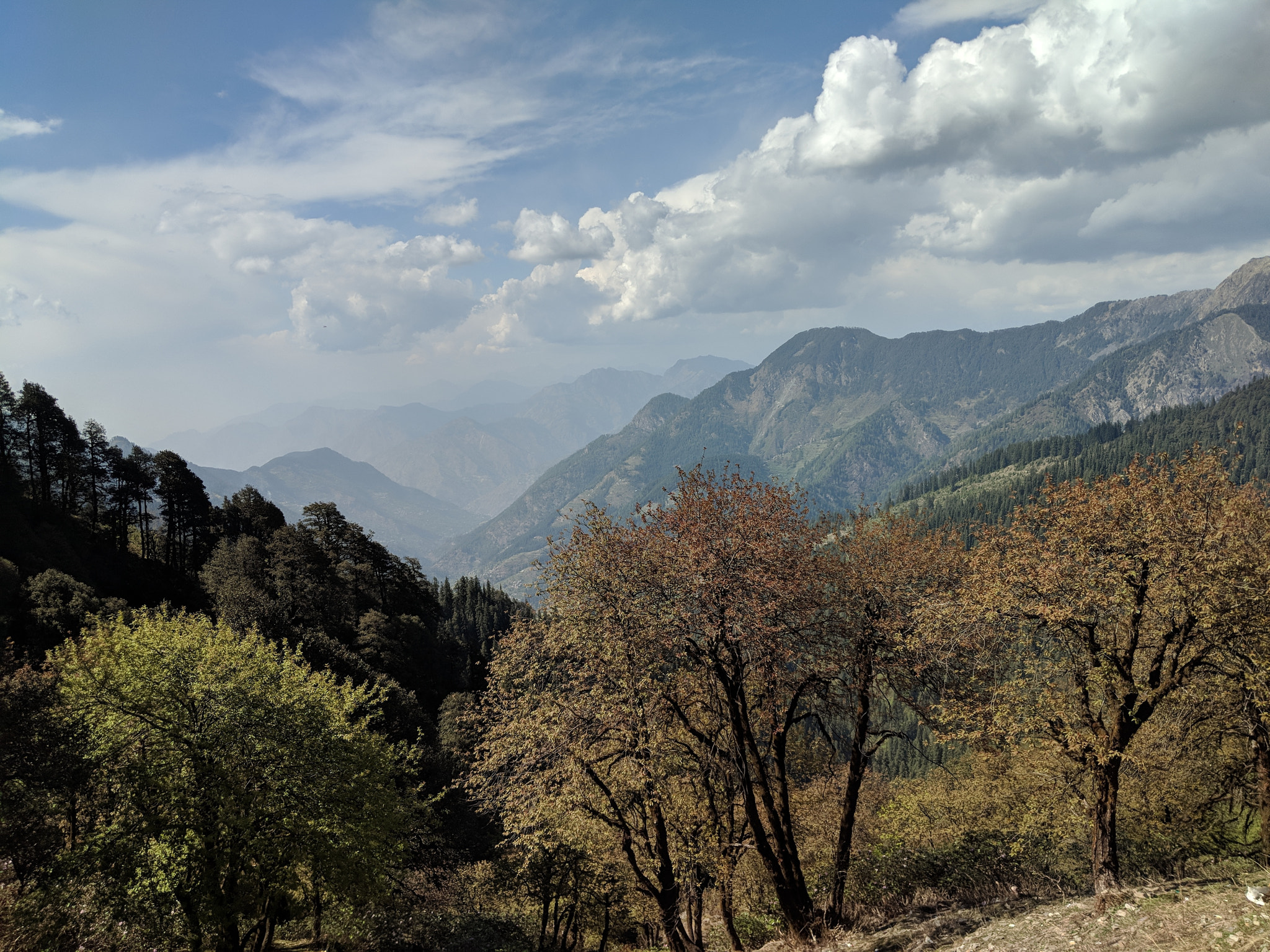Himachal is the solution