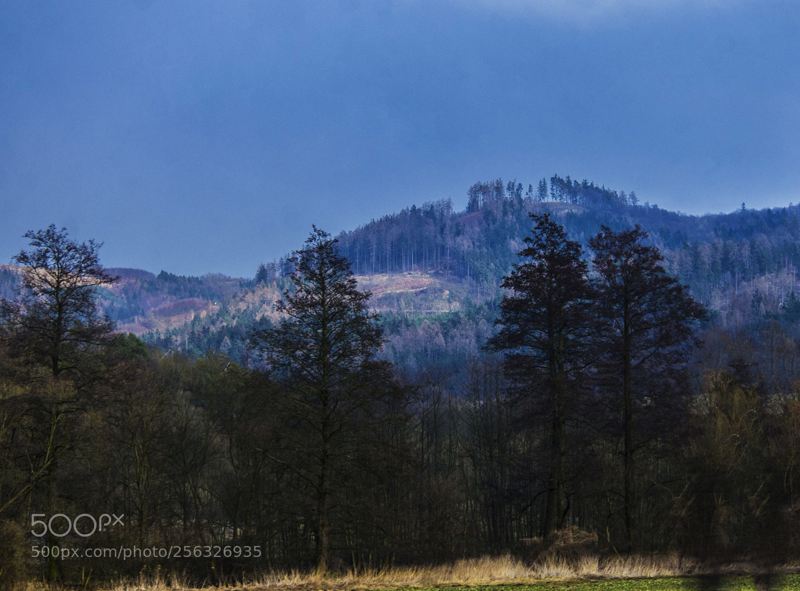 Pentax K-5 sample photo. Cz hills photography
