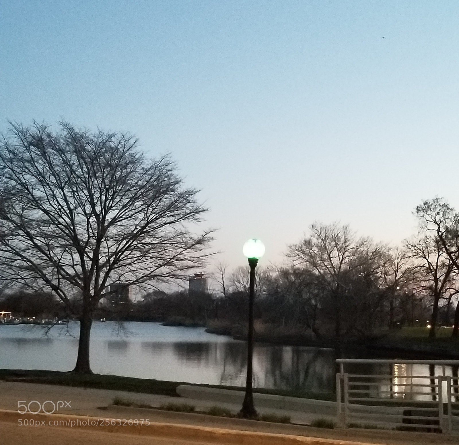 Samsung Galaxy S8+ sample photo. Untitled photography