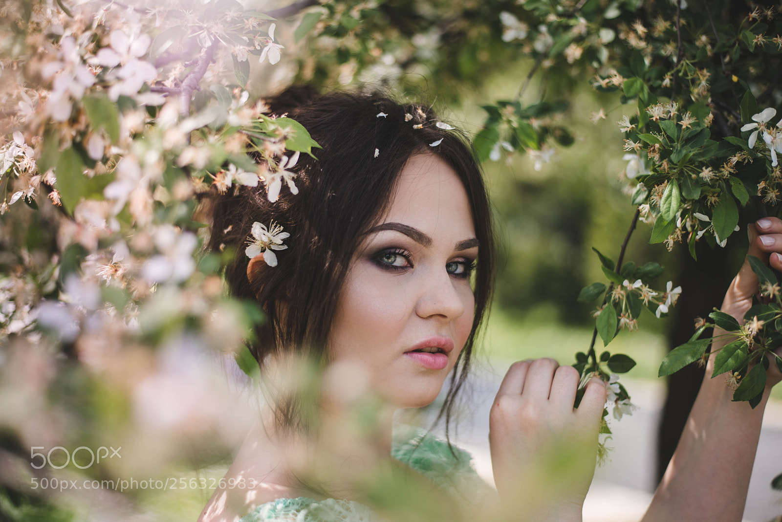 Nikon D610 sample photo. Spring photography