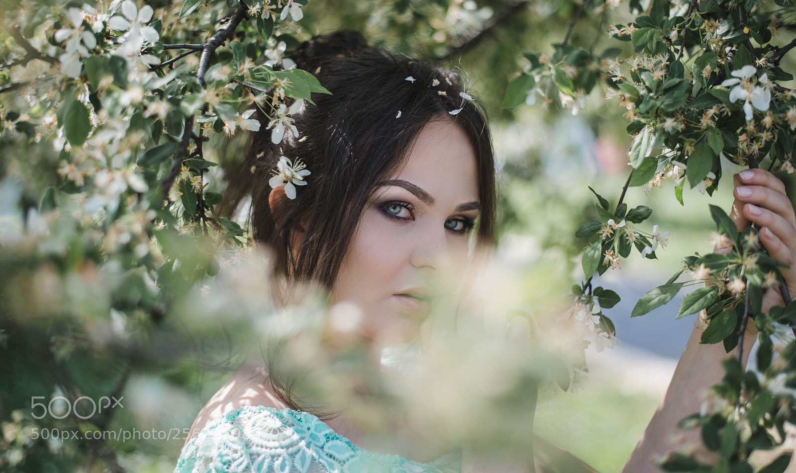 Nikon D610 sample photo. Spring photography