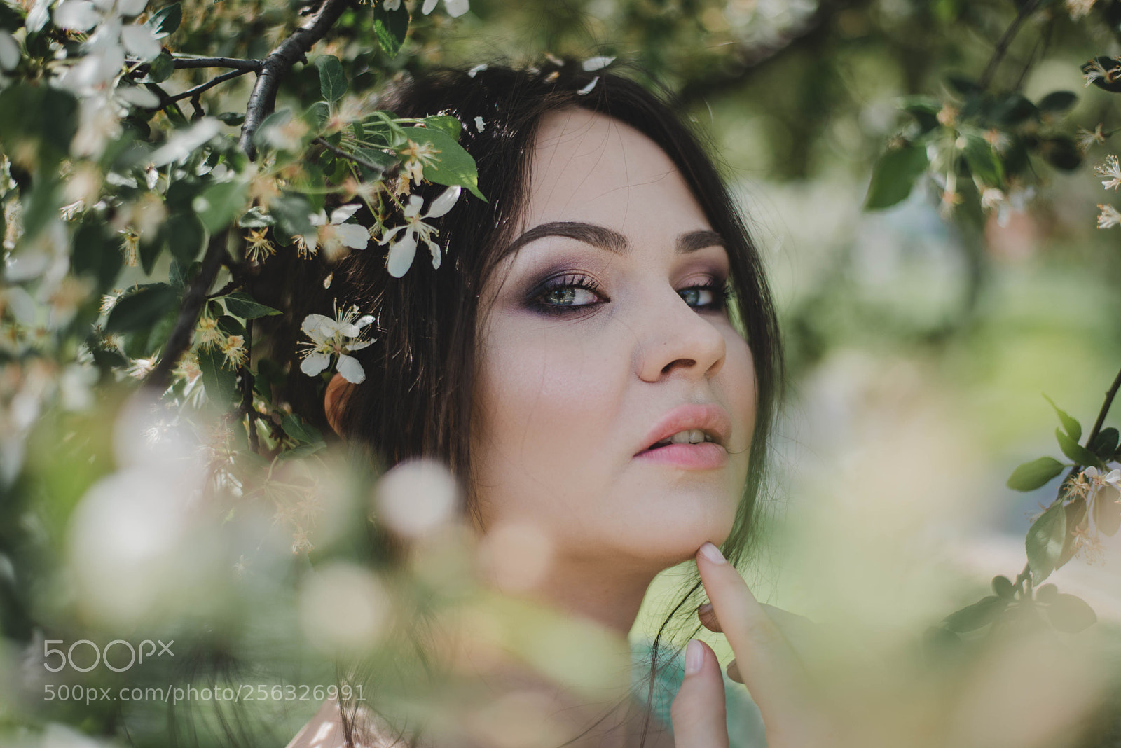 Nikon D610 sample photo. Spring photography