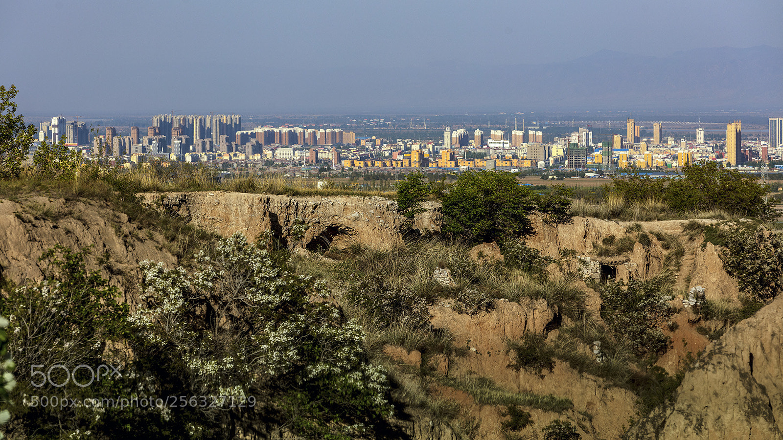 Canon EOS 5DS R sample photo. 现代化 photography
