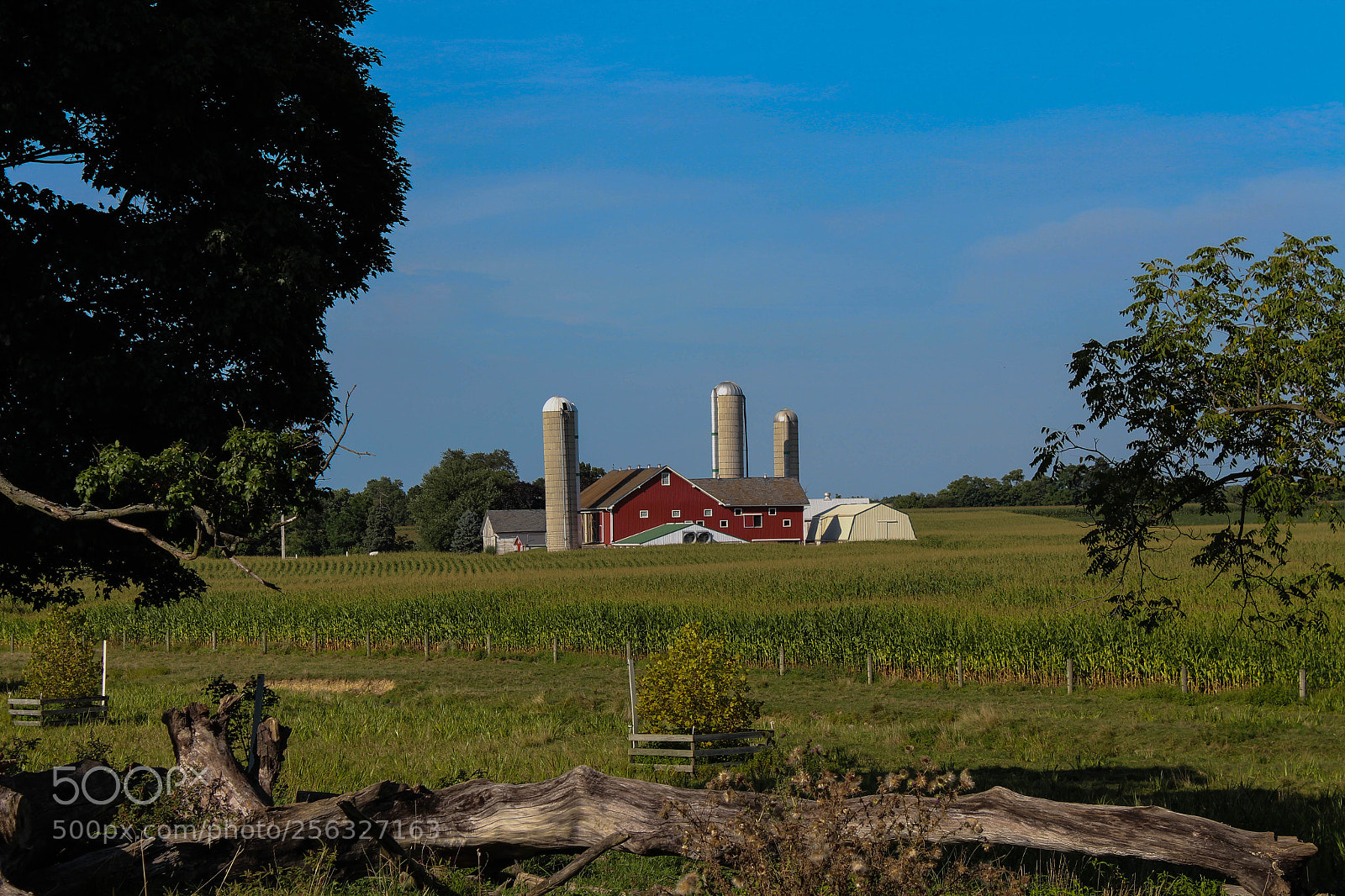 Canon EOS 650D (EOS Rebel T4i / EOS Kiss X6i) sample photo. Pennsylvania farm in august photography