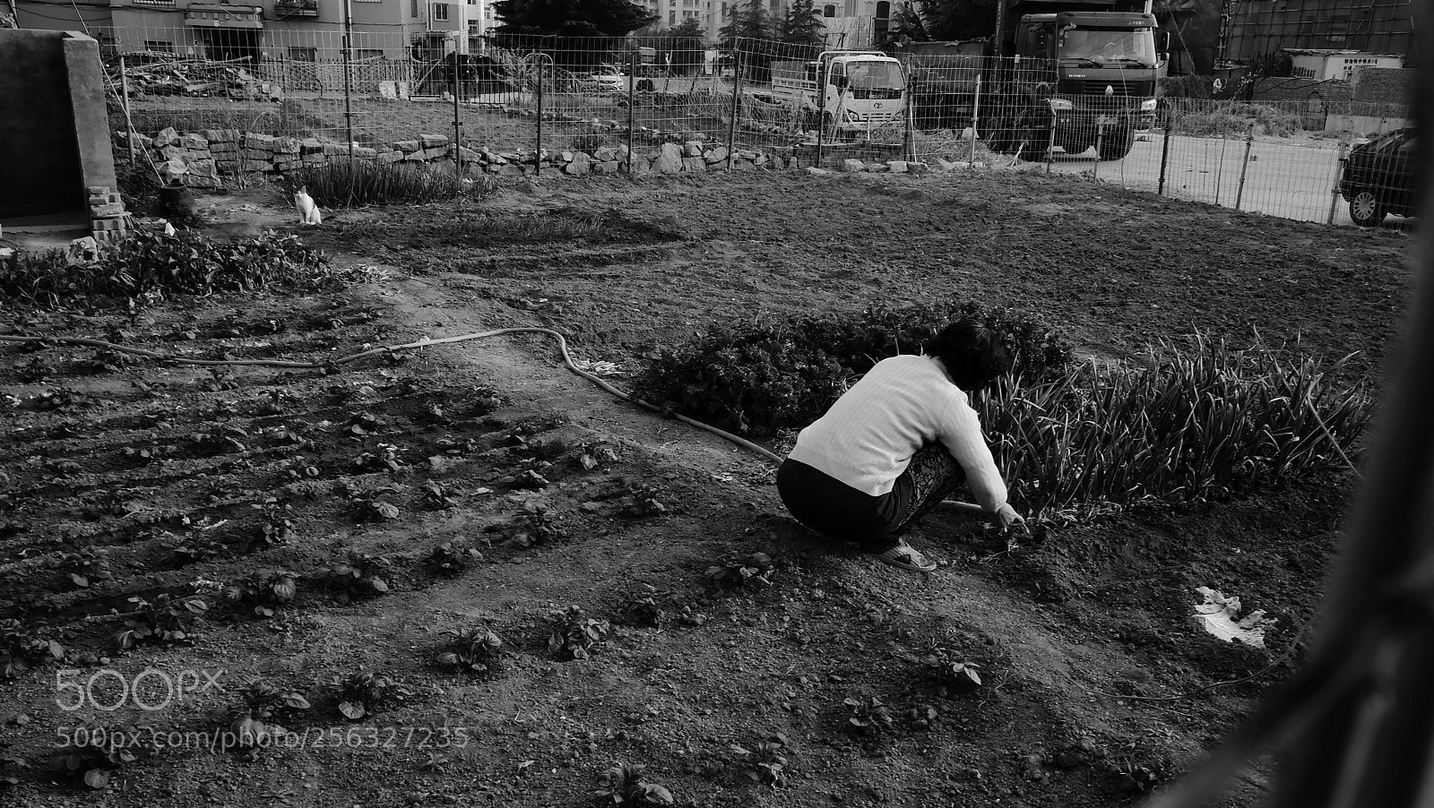 Fujifilm X70 sample photo. Title photography