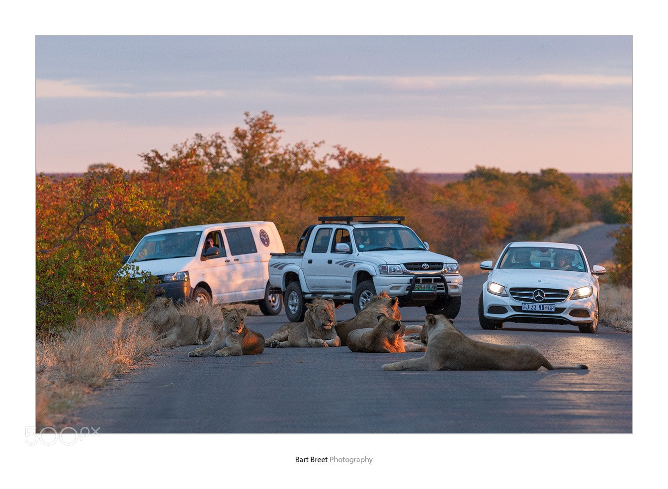 Canon EOS-1D X sample photo. Kruger park road block photography