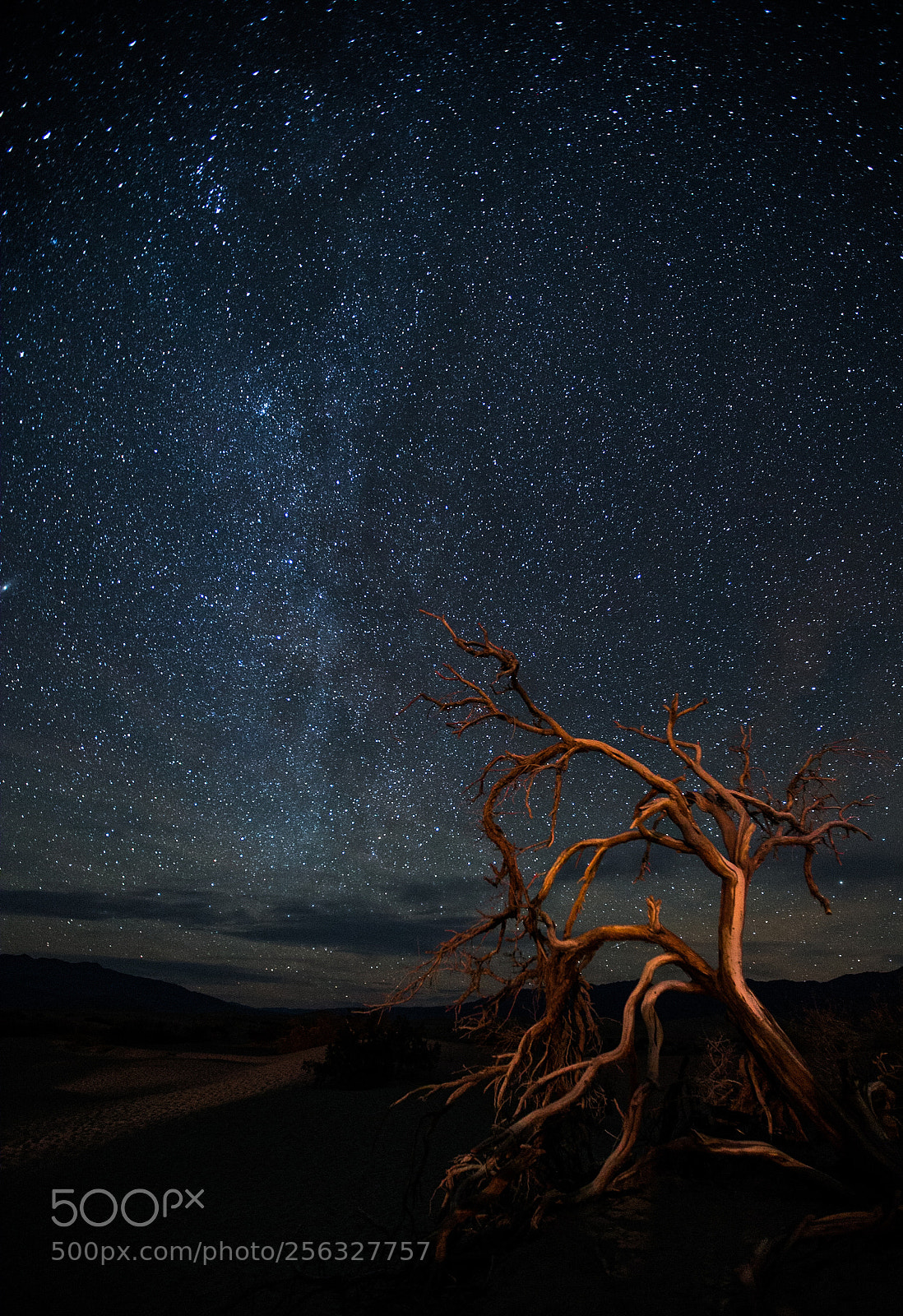 Canon EOS 6D sample photo. Death valley milky way photography
