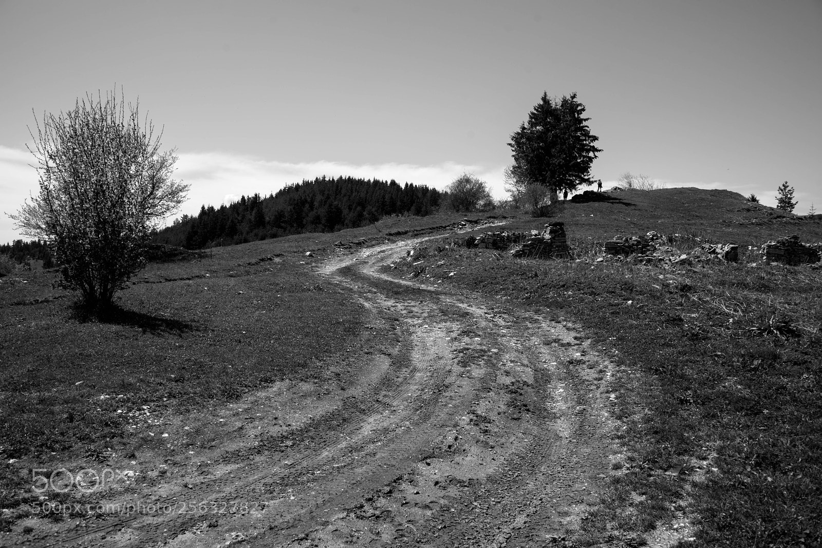 Nikon D750 sample photo. On air photography