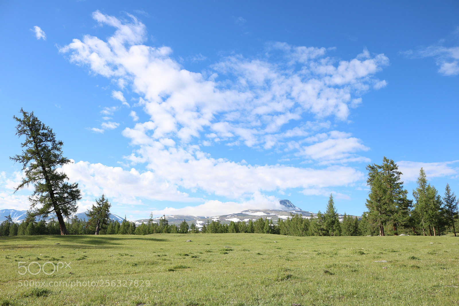 Canon EOS 750D (EOS Rebel T6i / EOS Kiss X8i) sample photo. Img photography