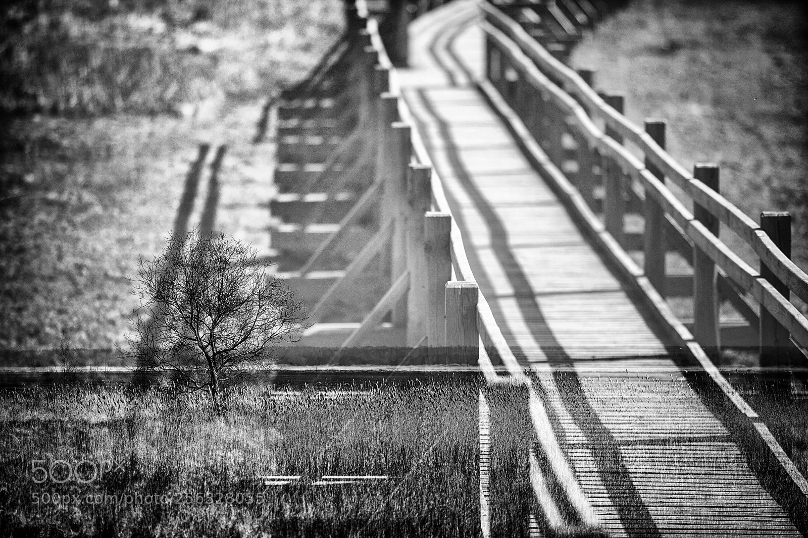 Canon EOS 6D Mark II sample photo. Road to ... photography