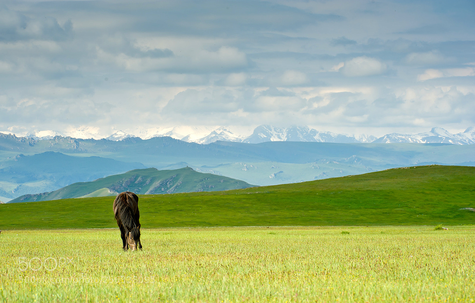 Nikon D700 sample photo. Bayanbulak grassland photography