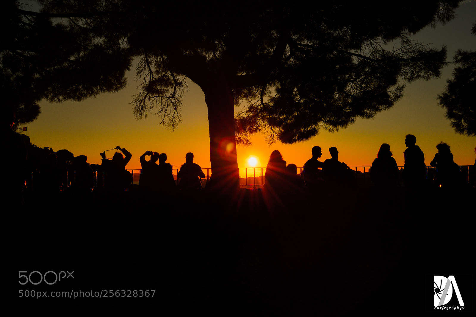 Nikon D3200 sample photo. Sun photography