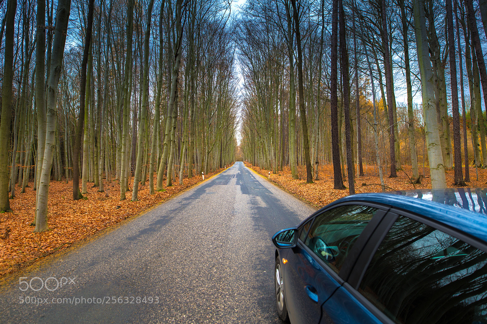 Canon EOS 6D sample photo. Pure natur in czech photography
