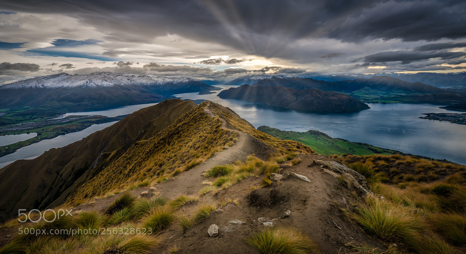 Nikon D750 sample photo. Roy's peak #1 photography