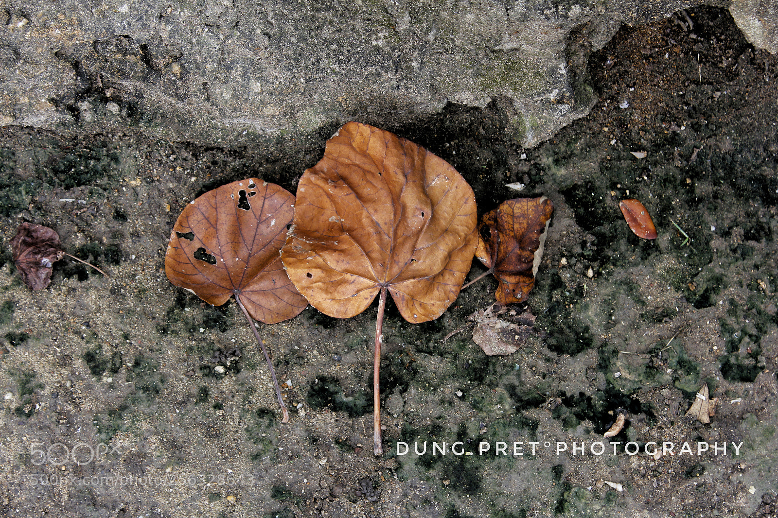 Canon EOS 60D sample photo. Untitled photography