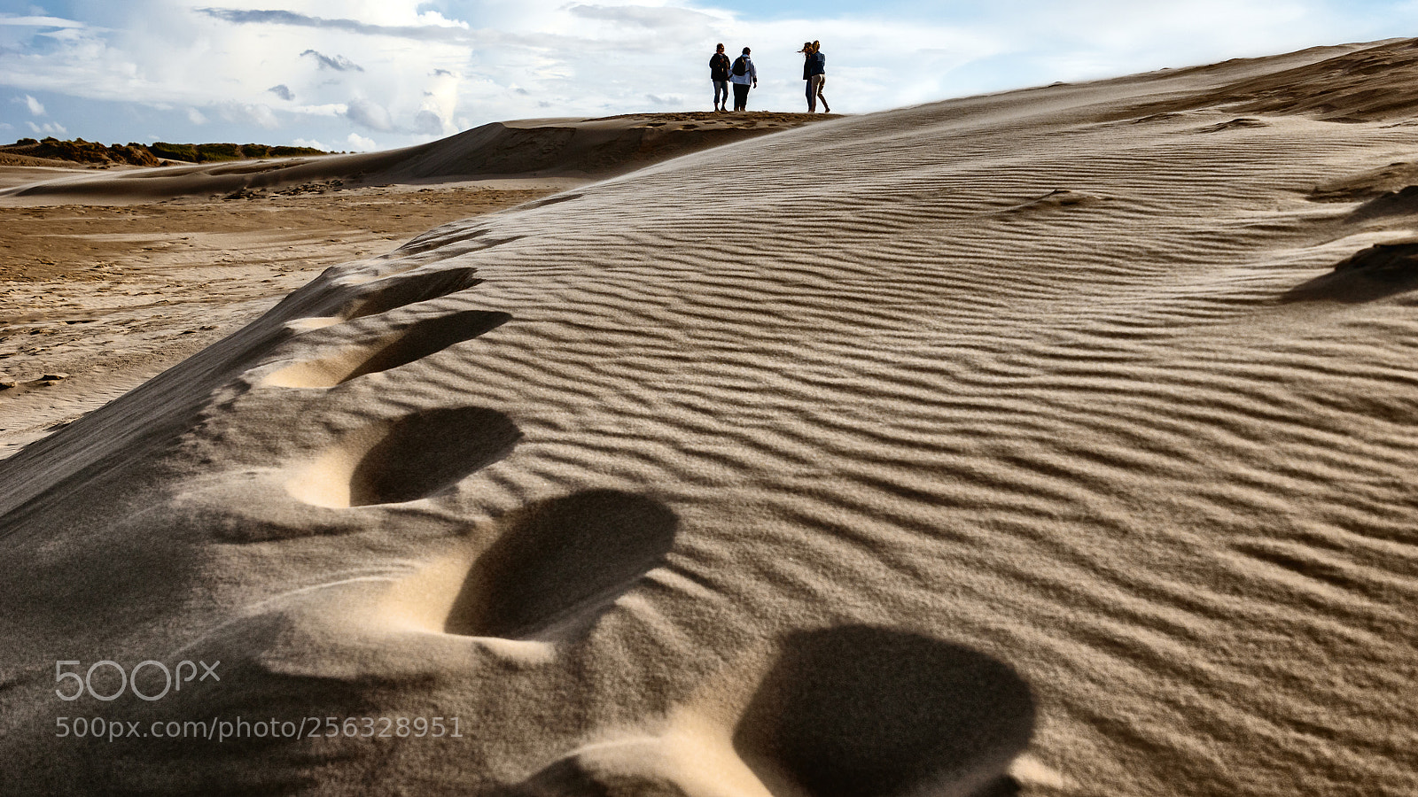 Sony ILCA-77M2 sample photo. Footprints photography