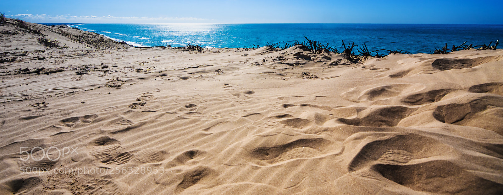 Sony ILCA-77M2 sample photo. Much sand on the photography