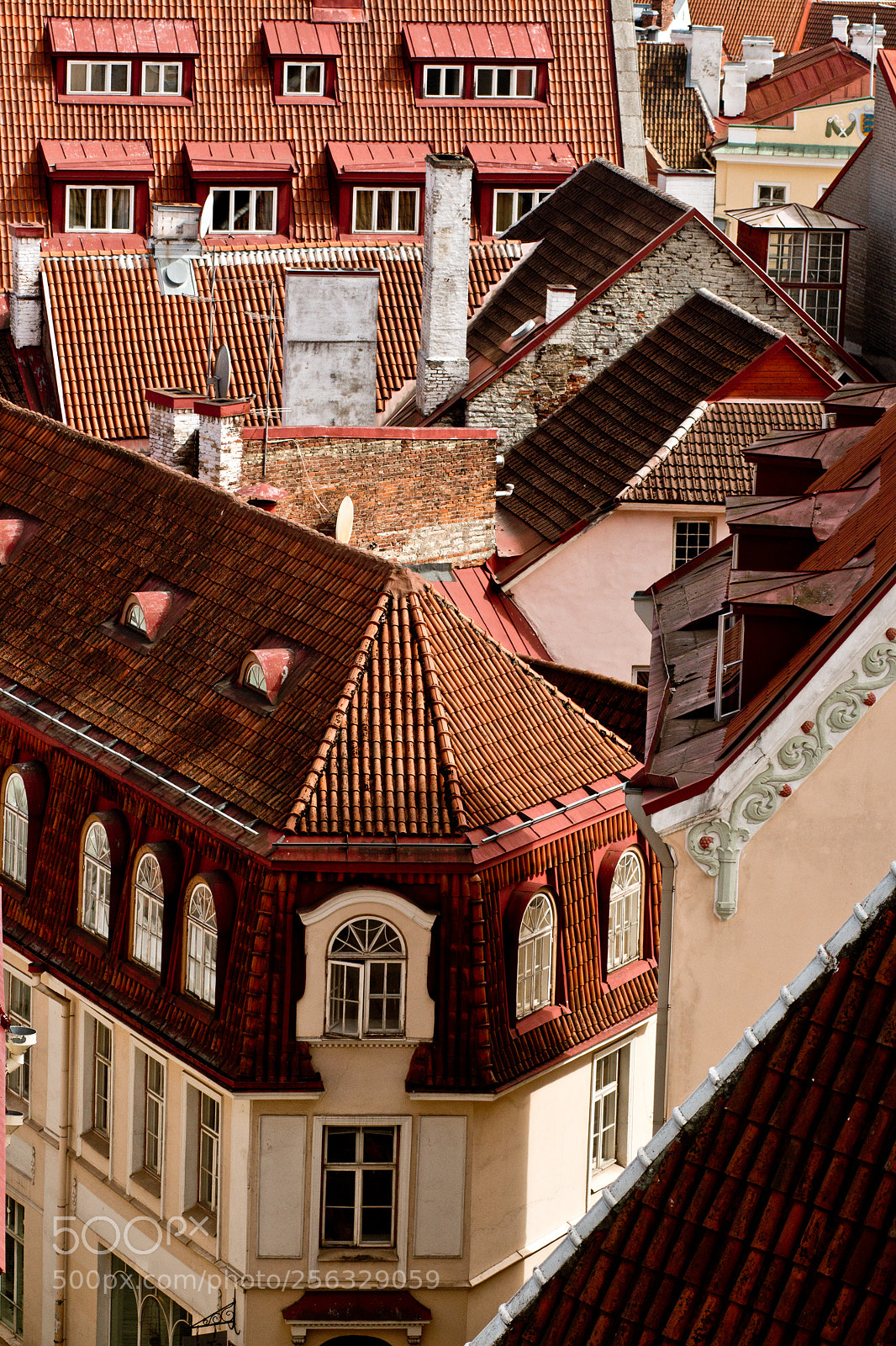 Canon EOS 70D sample photo. Tallinn photography