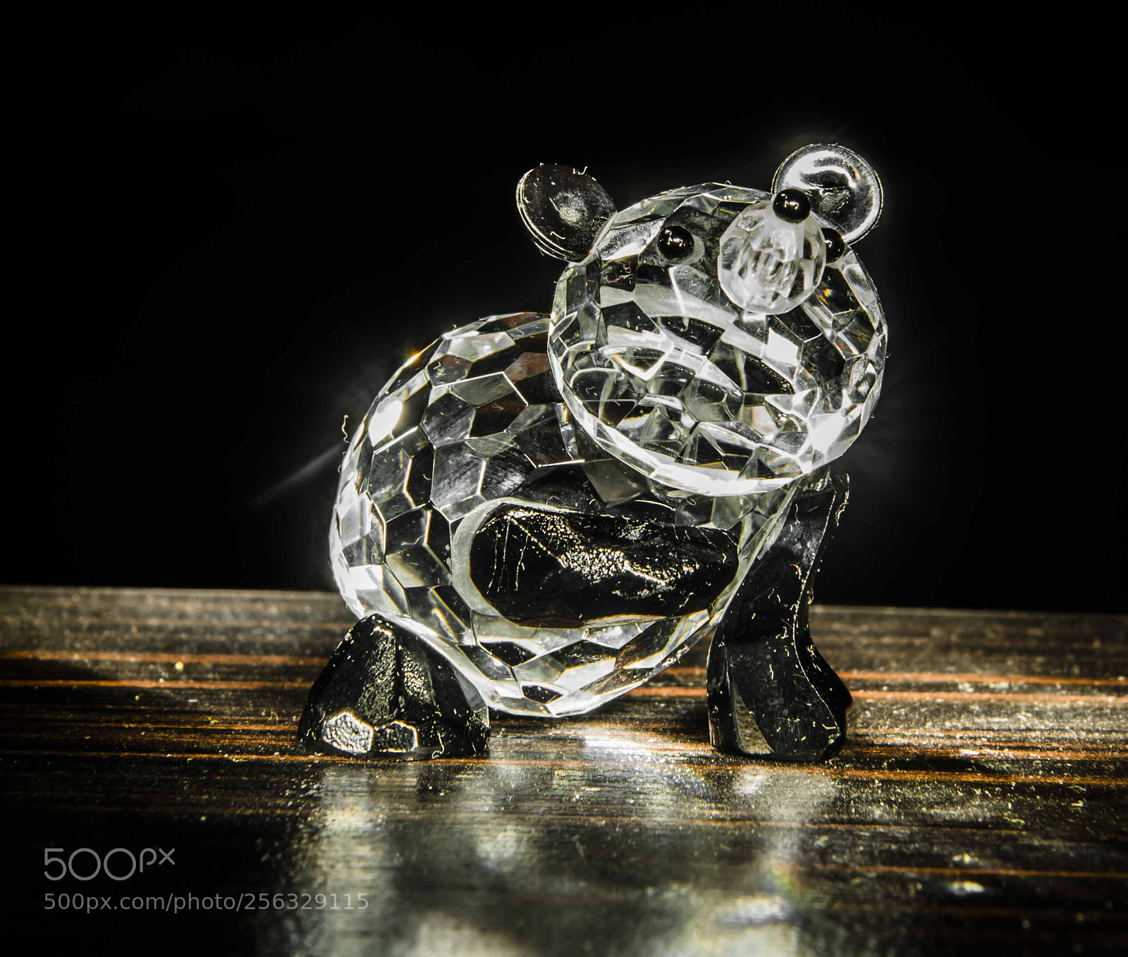 Nikon D750 sample photo. Glass panda photography