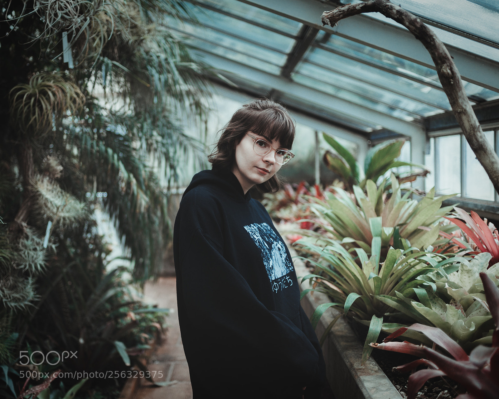 Canon EOS 6D sample photo. Plants photography
