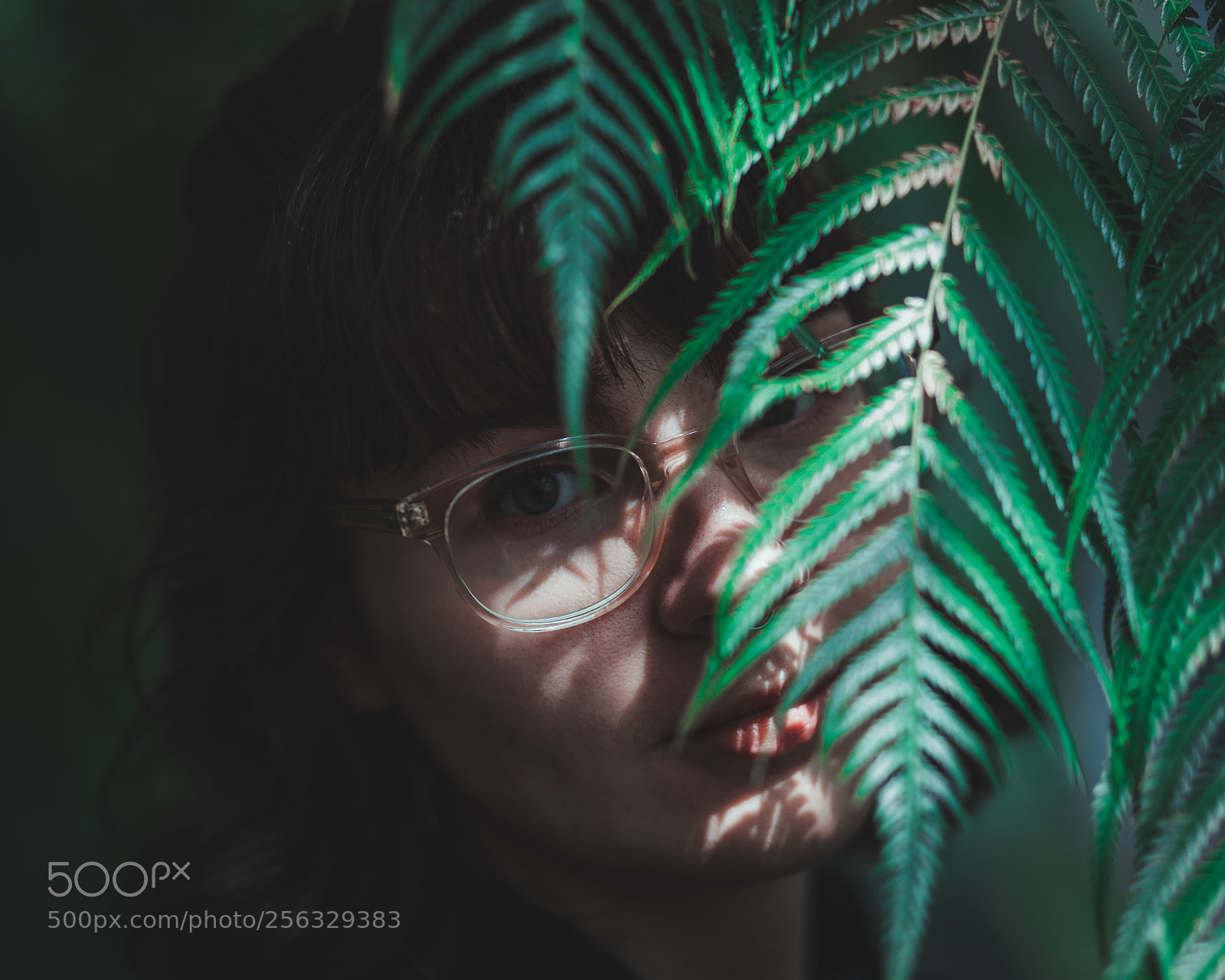 Canon EOS 6D sample photo. Fern photography