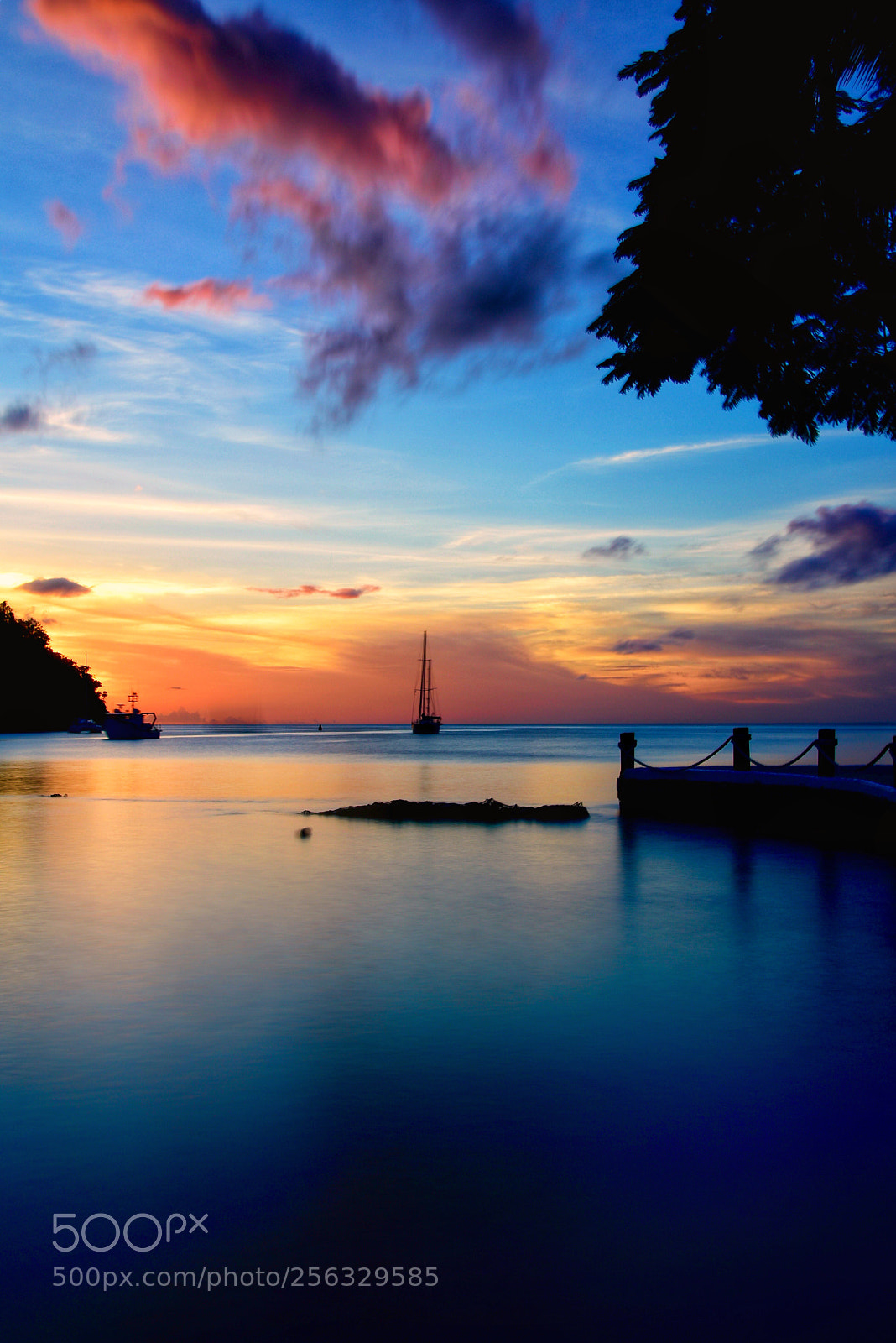 Nikon D750 sample photo. Blue hour on marigot photography