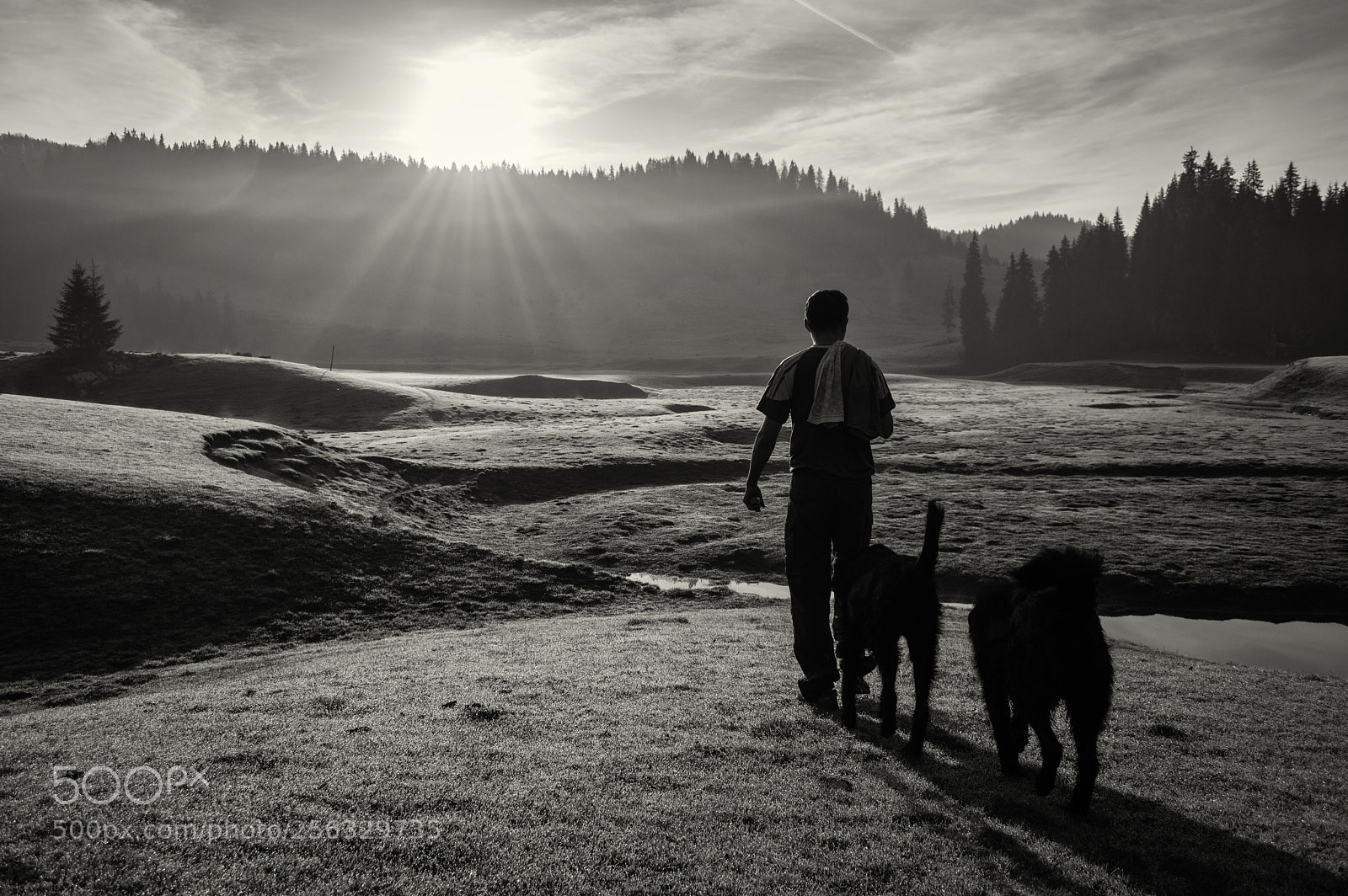 Nikon D3200 sample photo. Sunrise at glavoi meadow photography