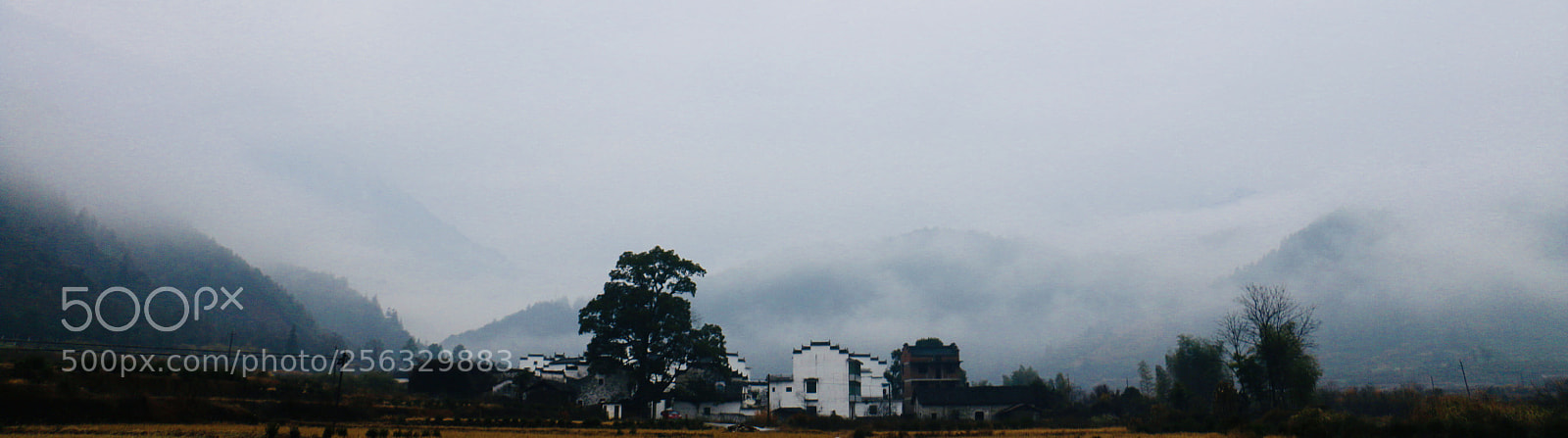 Canon EOS 70D sample photo. Untitled photography