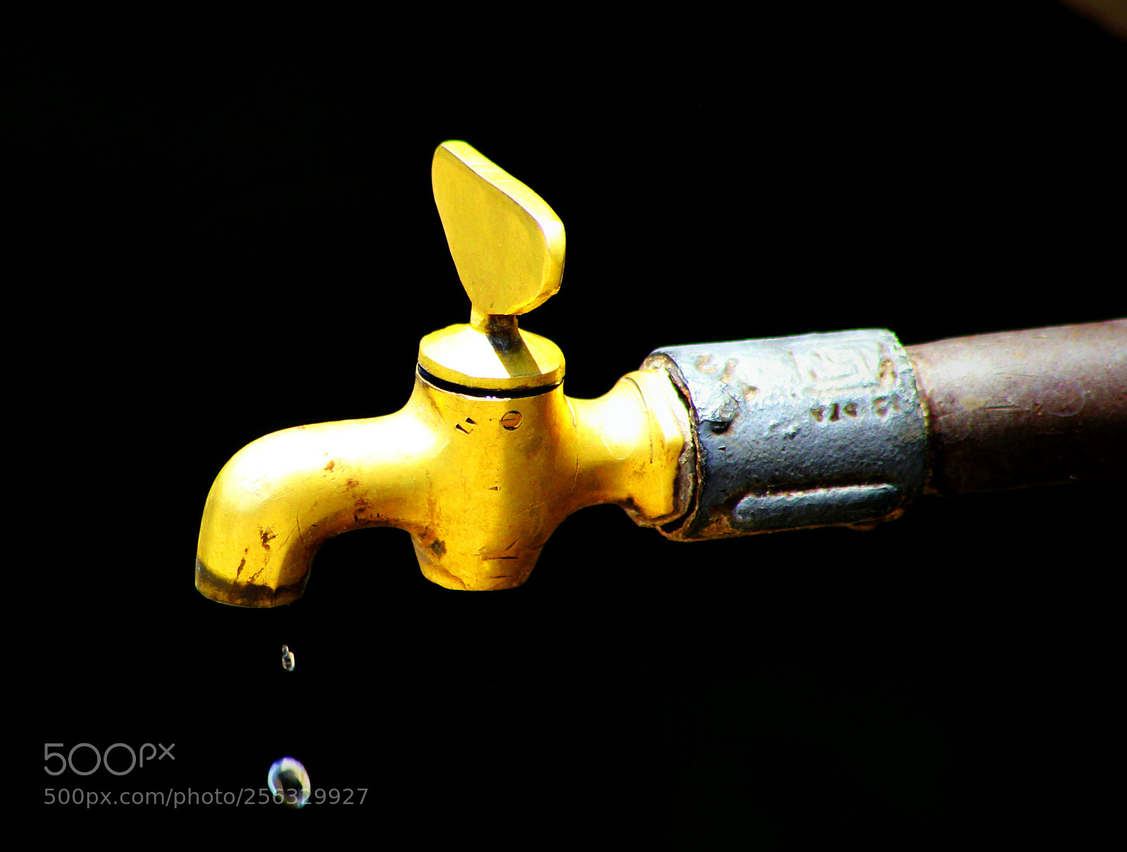Canon EOS 60D sample photo. Untitled photography