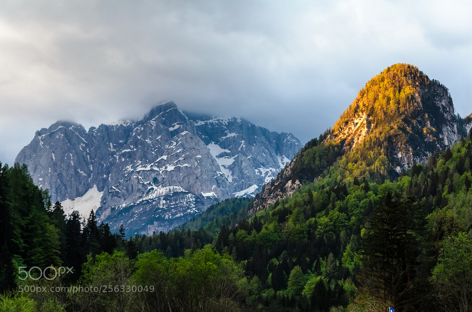 Nikon D7000 sample photo. Kranjska giora photography