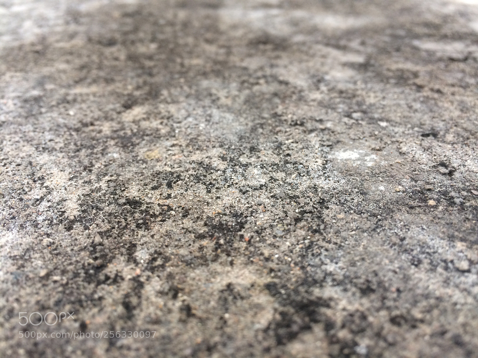 Apple iPhone 5s sample photo. Untitled photography