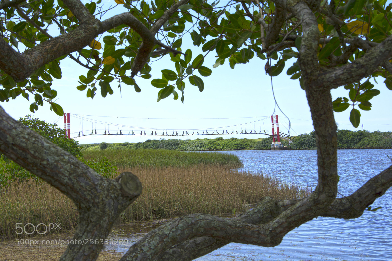 Nikon D7100 sample photo. Natureza ponte photography