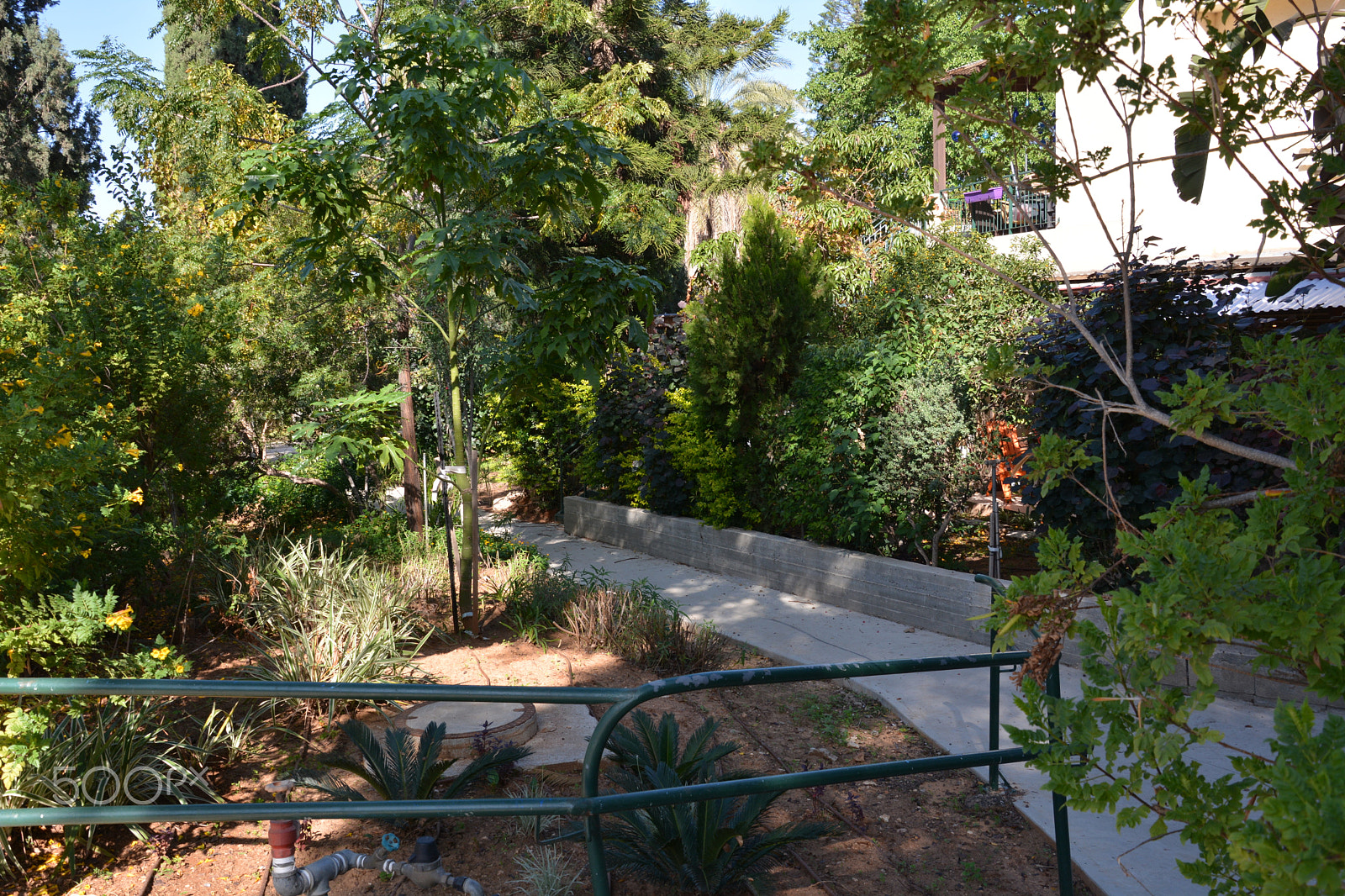 Nikon D7100 sample photo. Kibbutz einat 2 photography