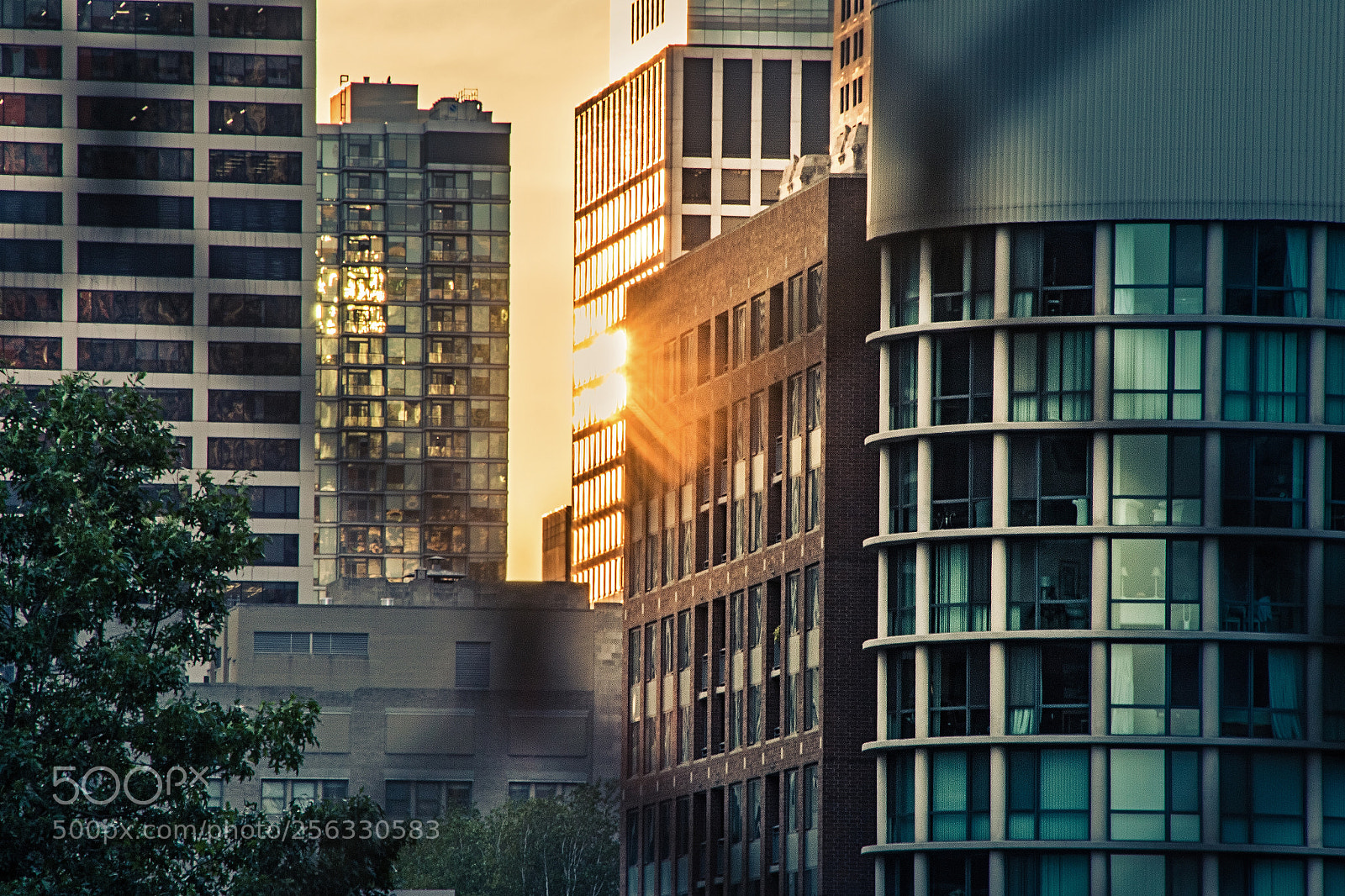 Canon EOS 7D Mark II sample photo. Sunset between the skyscrapers photography