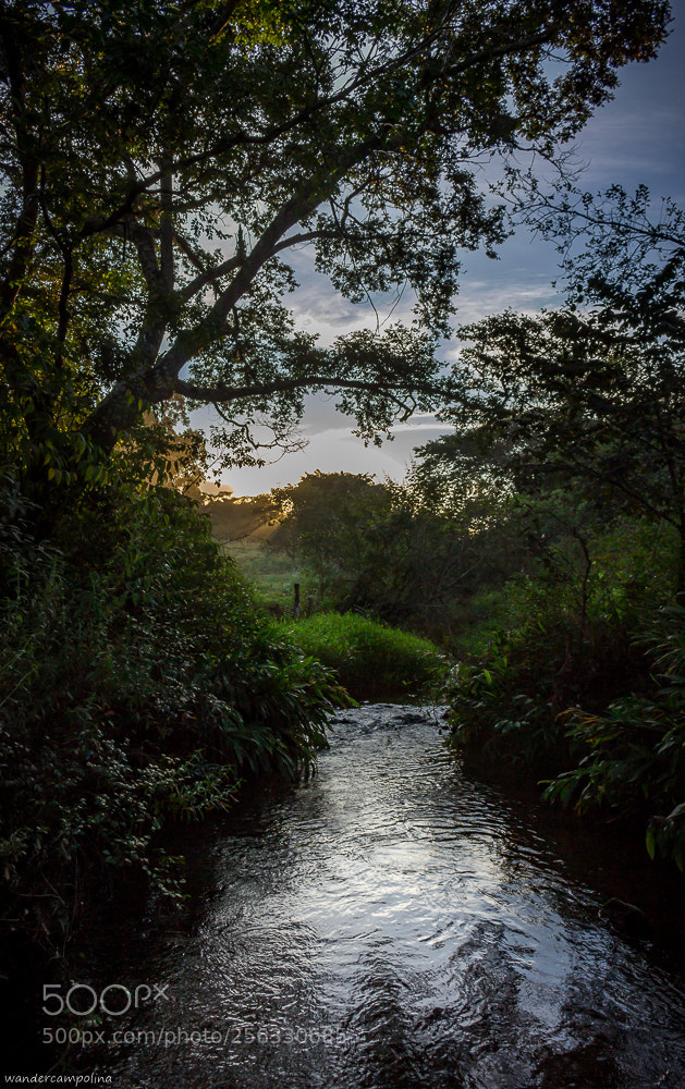 Canon EOS 700D (EOS Rebel T5i / EOS Kiss X7i) sample photo. River photography
