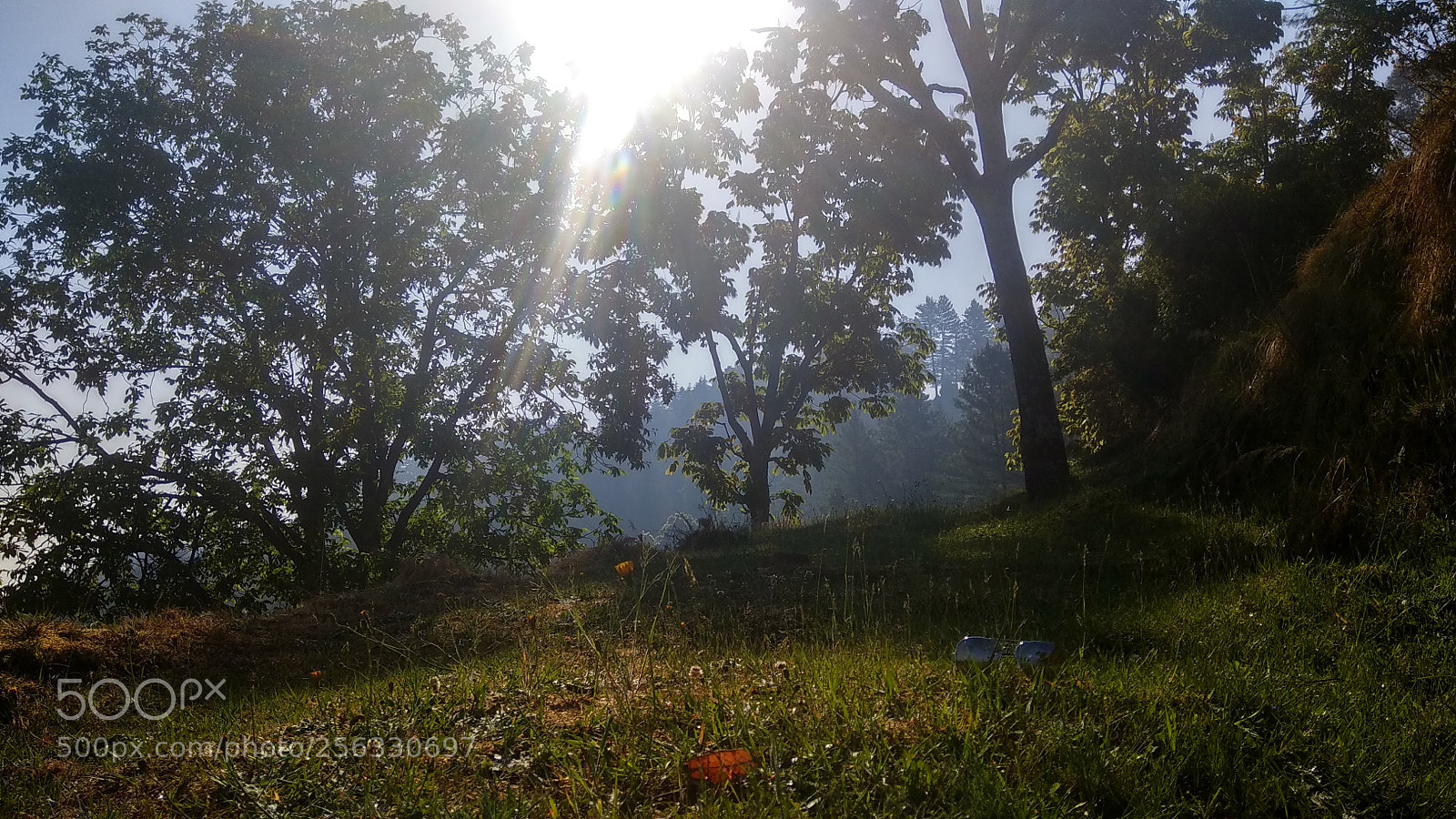 Xiaomi Redmi Note 4 sample photo. Untitled photography
