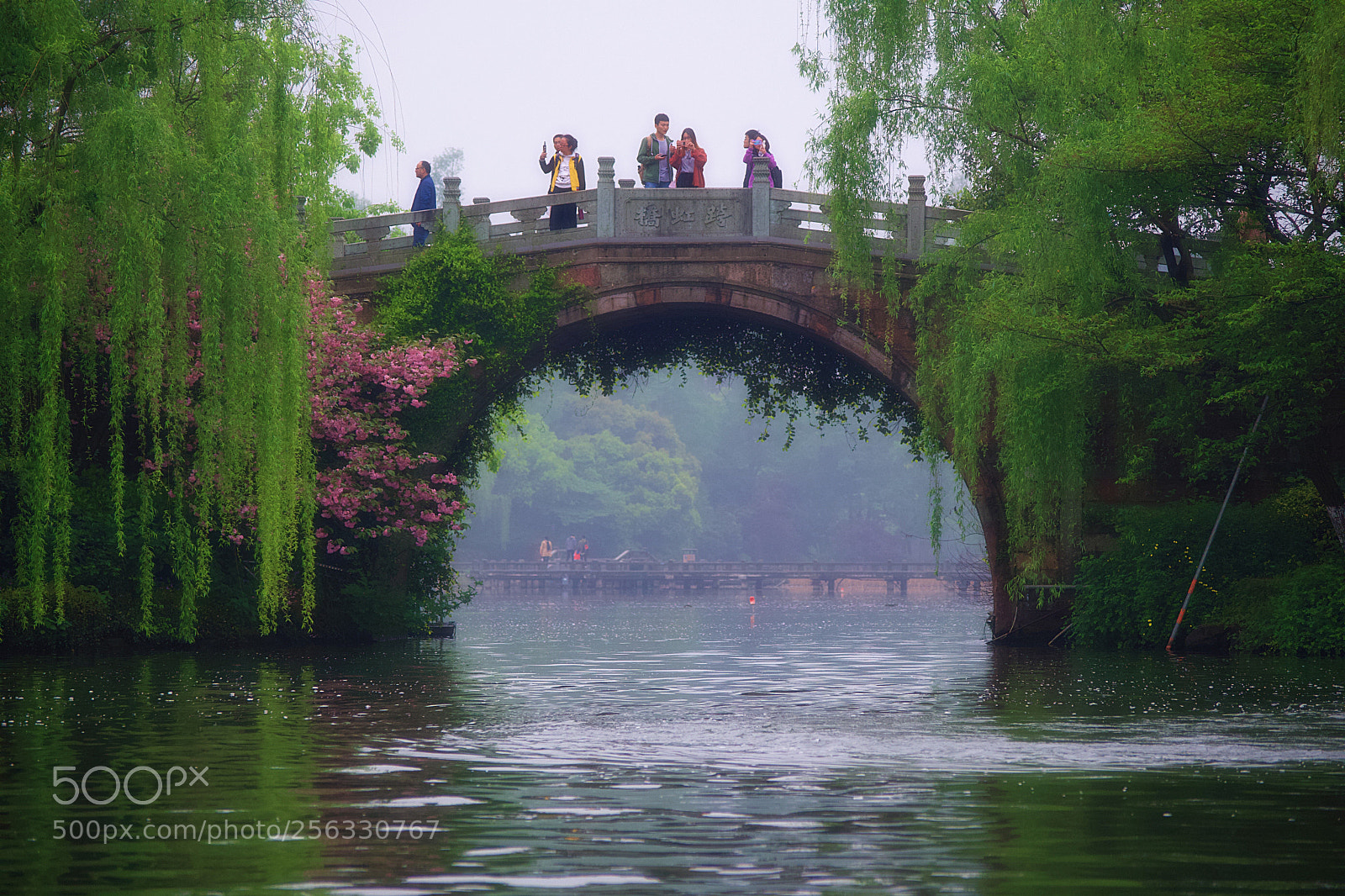 Nikon D7500 sample photo. Beautiful hangzhou, china. photography